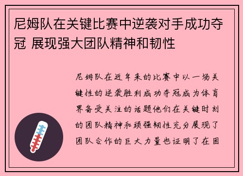 尼姆队在关键比赛中逆袭对手成功夺冠 展现强大团队精神和韧性